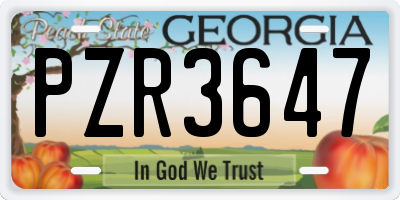 GA license plate PZR3647