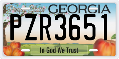 GA license plate PZR3651