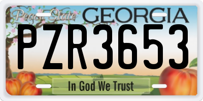 GA license plate PZR3653