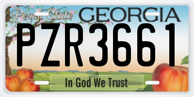 GA license plate PZR3661