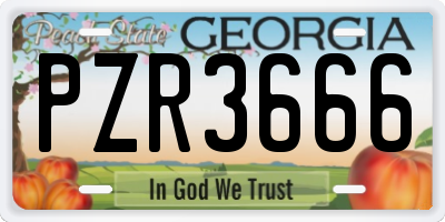 GA license plate PZR3666