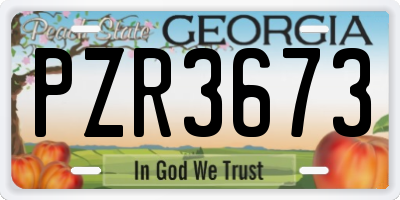 GA license plate PZR3673