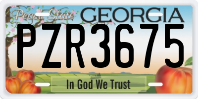 GA license plate PZR3675