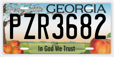 GA license plate PZR3682