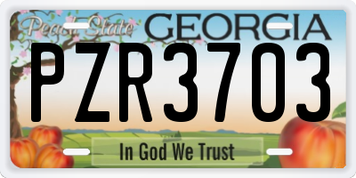 GA license plate PZR3703