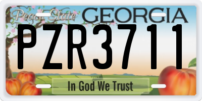 GA license plate PZR3711