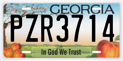 GA license plate PZR3714
