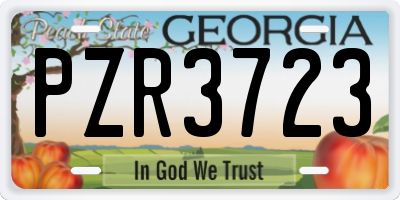 GA license plate PZR3723