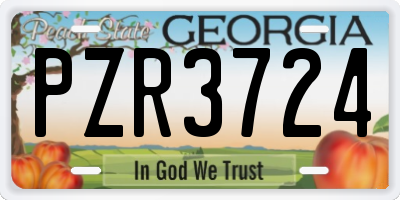 GA license plate PZR3724