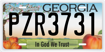 GA license plate PZR3731