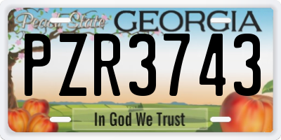 GA license plate PZR3743