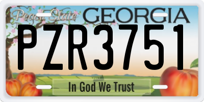 GA license plate PZR3751