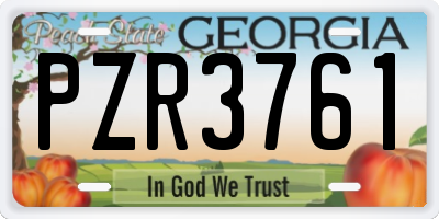 GA license plate PZR3761