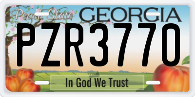 GA license plate PZR3770