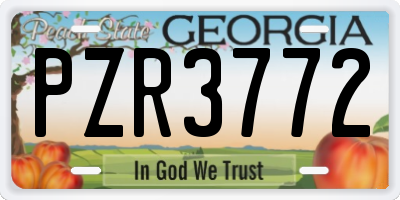 GA license plate PZR3772
