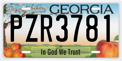 GA license plate PZR3781