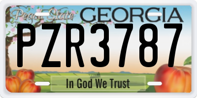 GA license plate PZR3787