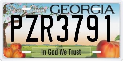 GA license plate PZR3791