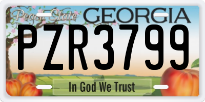 GA license plate PZR3799