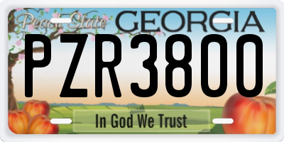 GA license plate PZR3800