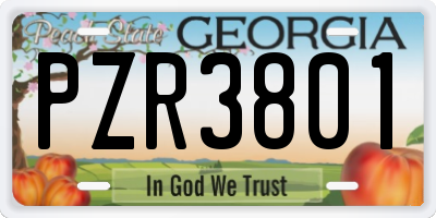 GA license plate PZR3801