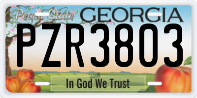 GA license plate PZR3803