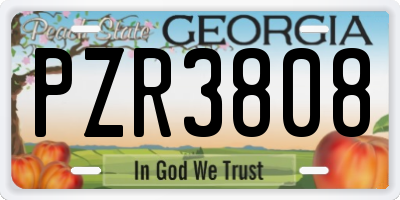 GA license plate PZR3808
