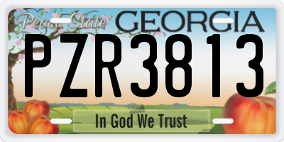GA license plate PZR3813