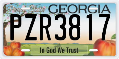 GA license plate PZR3817