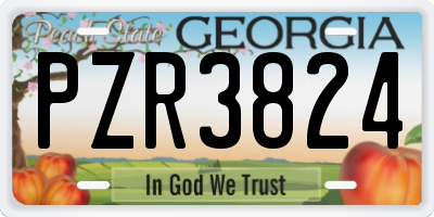 GA license plate PZR3824