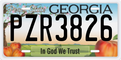 GA license plate PZR3826