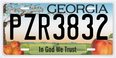 GA license plate PZR3832