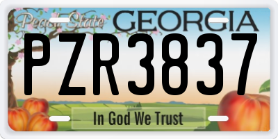 GA license plate PZR3837