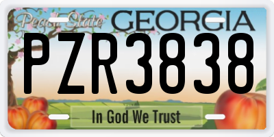 GA license plate PZR3838