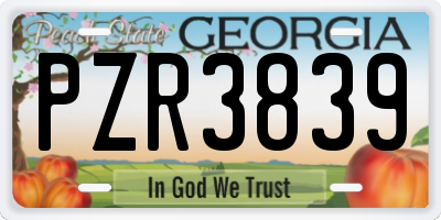 GA license plate PZR3839