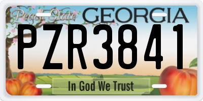 GA license plate PZR3841
