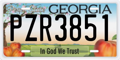 GA license plate PZR3851