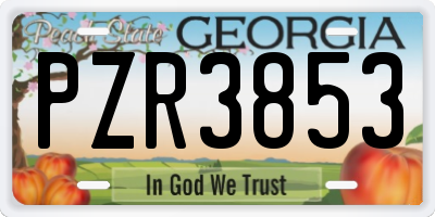 GA license plate PZR3853