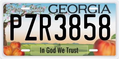 GA license plate PZR3858