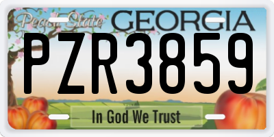 GA license plate PZR3859