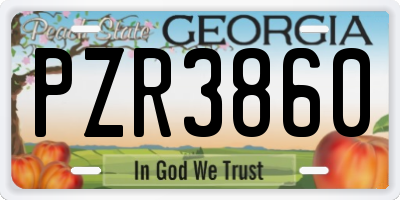 GA license plate PZR3860