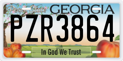 GA license plate PZR3864