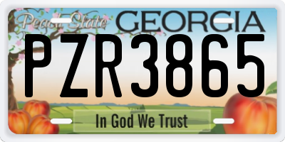 GA license plate PZR3865