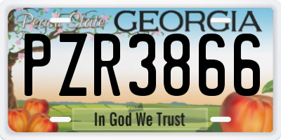 GA license plate PZR3866