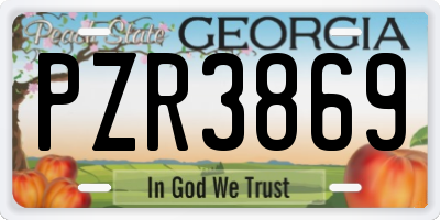 GA license plate PZR3869
