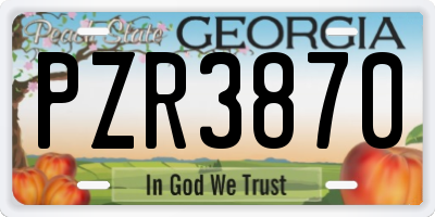 GA license plate PZR3870