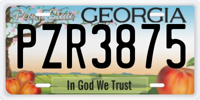 GA license plate PZR3875