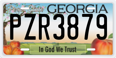 GA license plate PZR3879