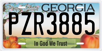 GA license plate PZR3885