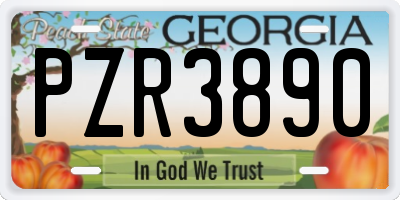 GA license plate PZR3890